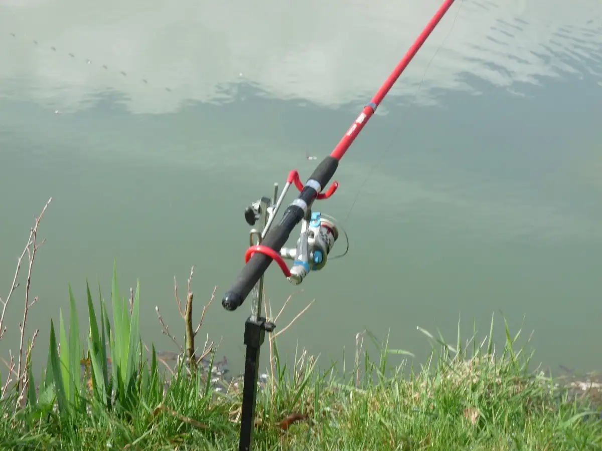 En attendant la prise